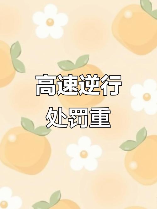 高速倒车被罚12分,高速倒车被罚12分怎么处理