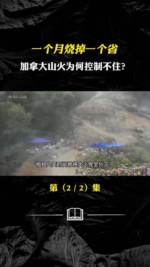 加拿大山火2人死亡,加拿大山火2人死亡原因