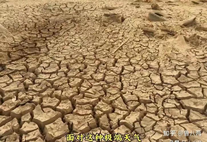 多地地面温度超70℃,地面温度过高