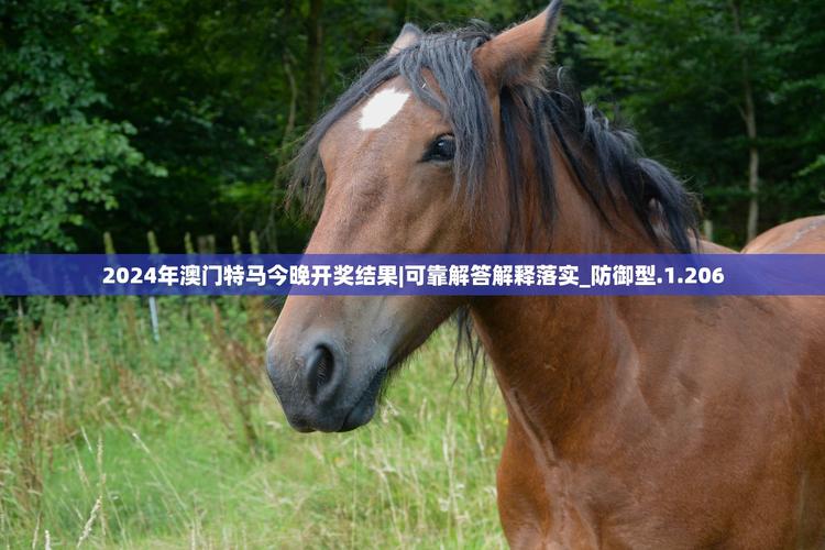 新澳门今晚开奖结果开奖记录和中国制造TOP10与中国制造网