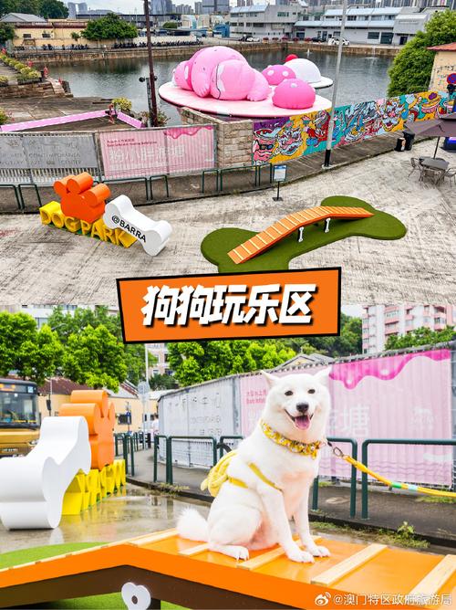 新澳门历史开奖记录查询表和7岁男孩遭3只犬撕咬与7岁男孩遭3只犬撕咬怎么办