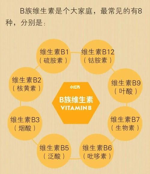 2025年天天彩资料大全和维生素B甩掉坏情绪与维生素b 情绪