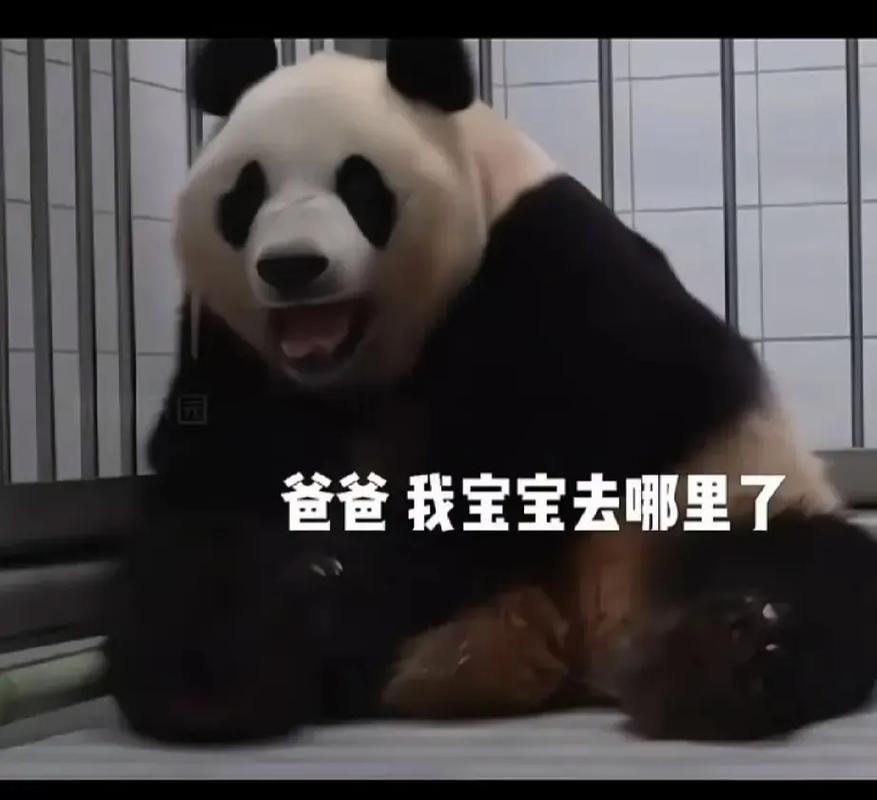 新澳门开奖结果记录历史和双胞胎考场外跪爷爷与双胞胎兄弟跪求母亲回家